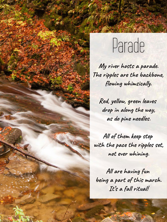 Haiku:
Title: PARADE
My river hosts a parade.
The ripples are the backbone, flowing whimsically.

Red, yellow, green leaves drop in along the way,
as do pine needles.

All of them keep step with the pace the ripples set,
not ever whining.

All are having fun being a part of this march.
It’s a fall ritual!
