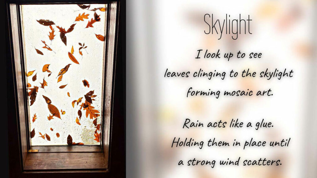 Photo taken by Sister Alice of light shining through a skylight covered with scattered Autumn leaves and rain. The accompanying Haiku:
Title: Skylight
I look up to see
leaves clinging to the skylight forming mosaic art.
